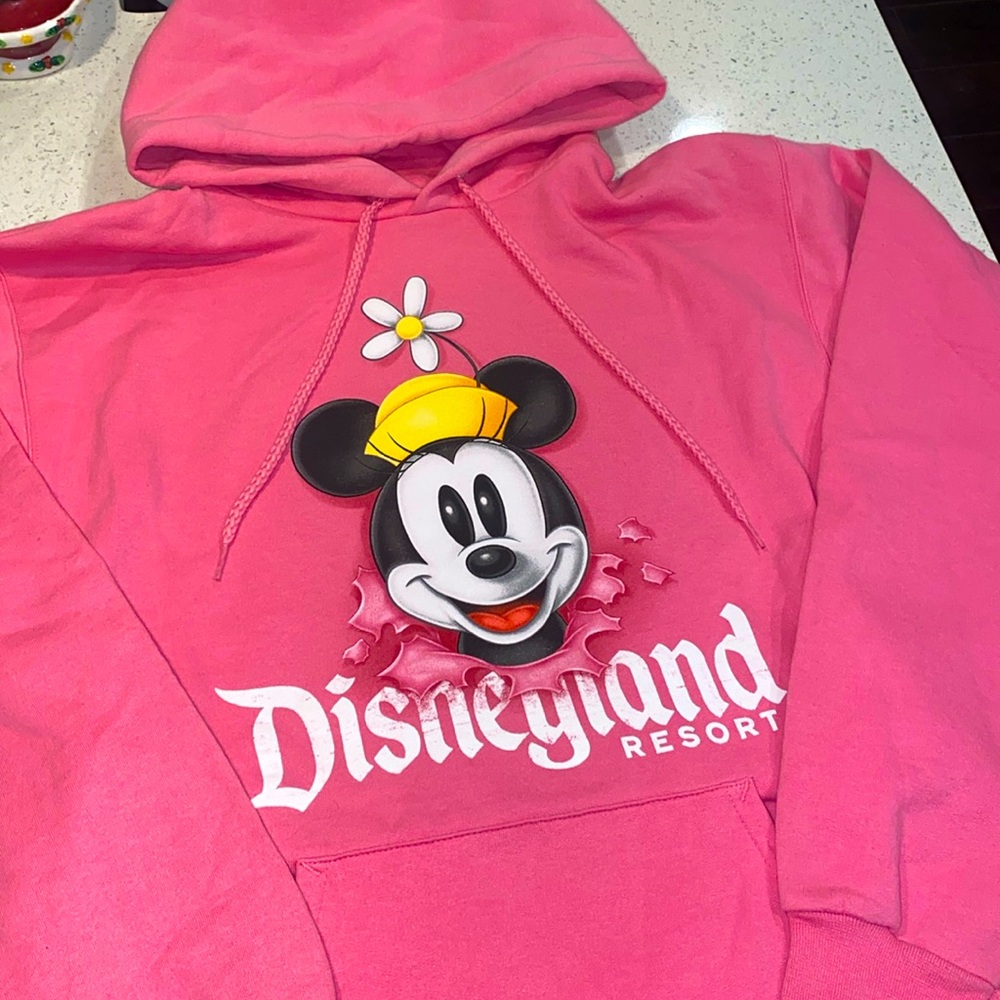 DisneyLand Minnie Mouse hoodie!